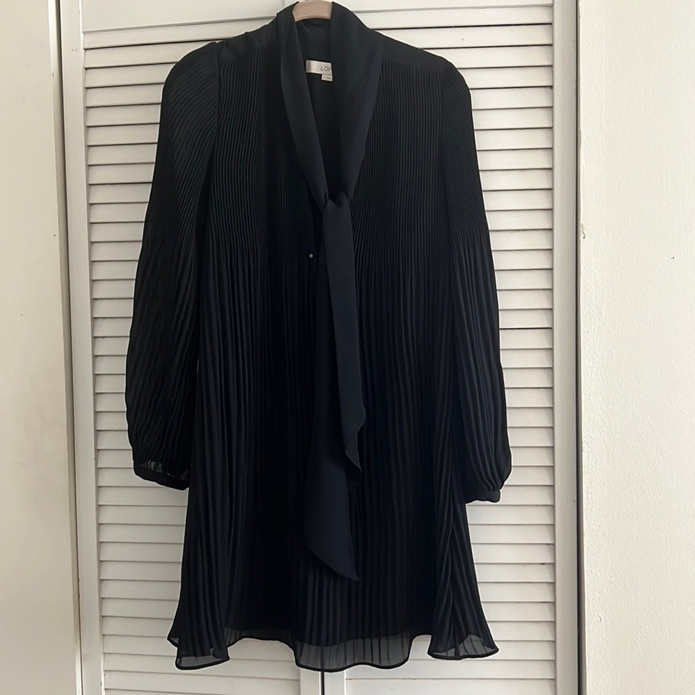 Beautiful long sleeve little black dress.